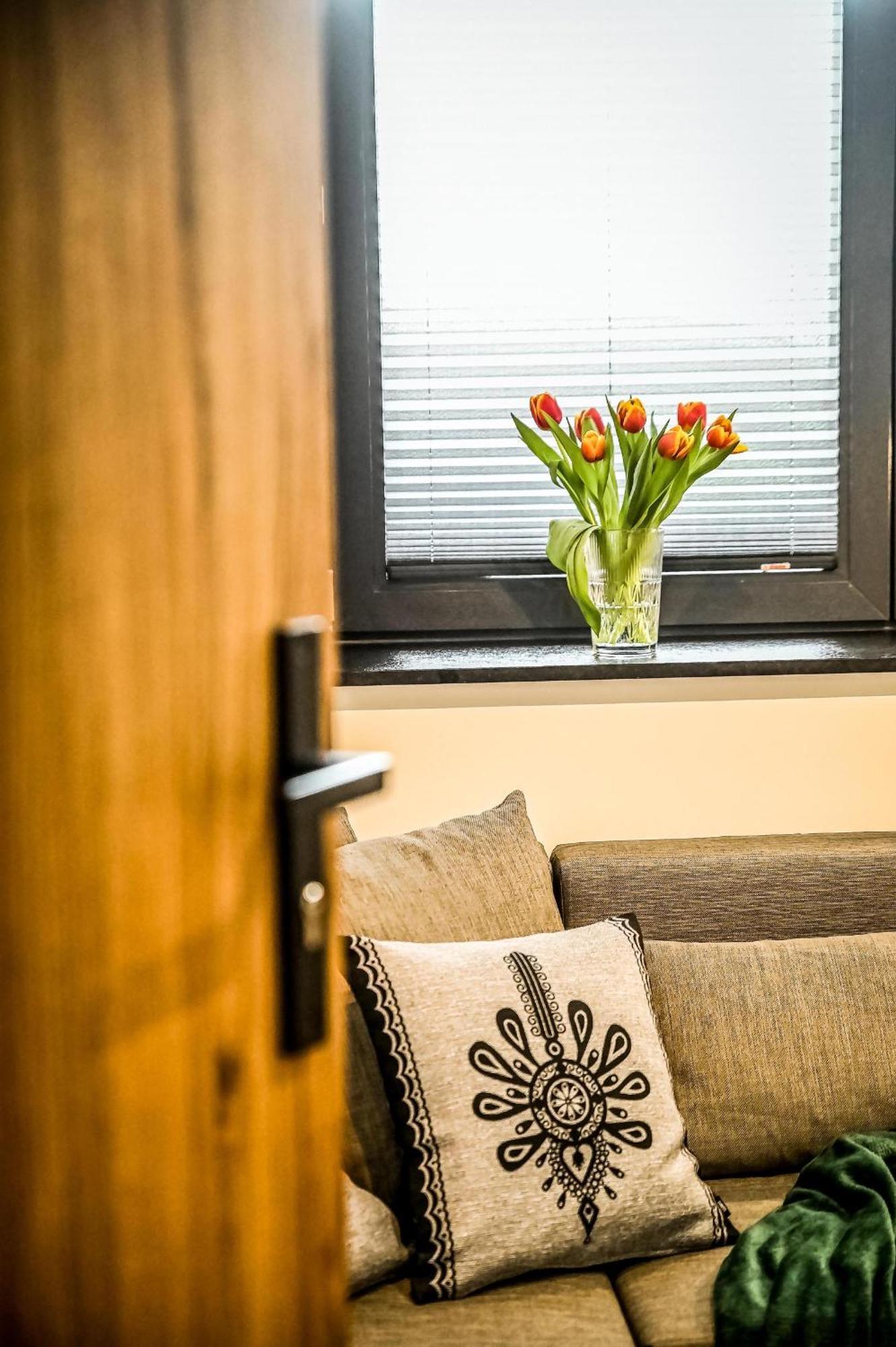 Michasiowka Apartment Czerwienne Екстериор снимка