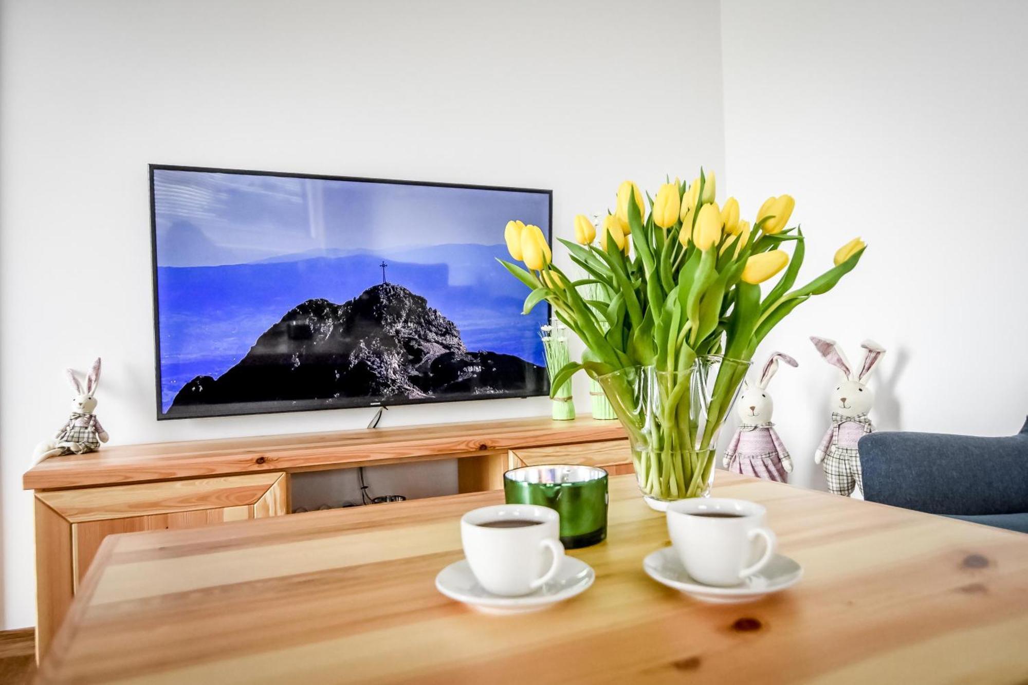 Michasiowka Apartment Czerwienne Екстериор снимка